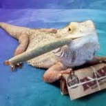 moonbakedlizard